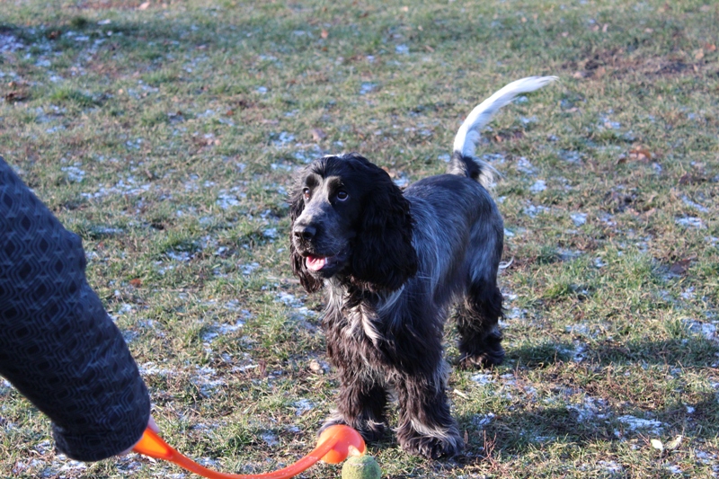 FOTKY PROSINEC 2012 (5).jpg